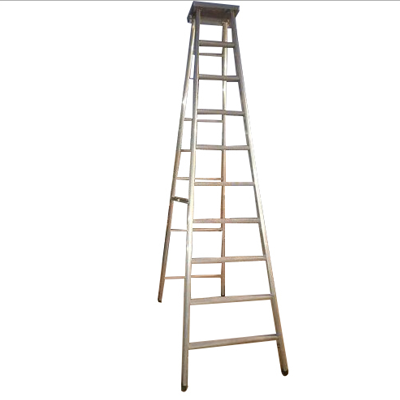 c1